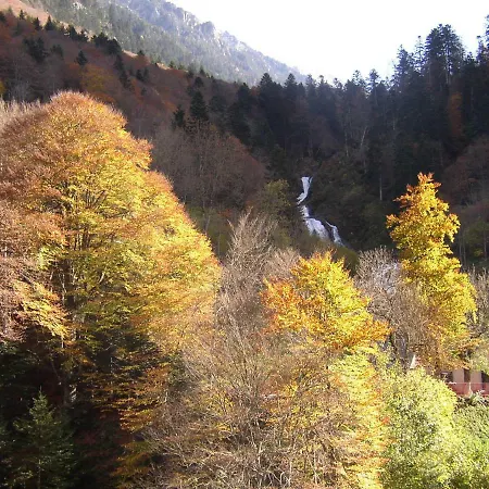 Plein Centre * Cauterets