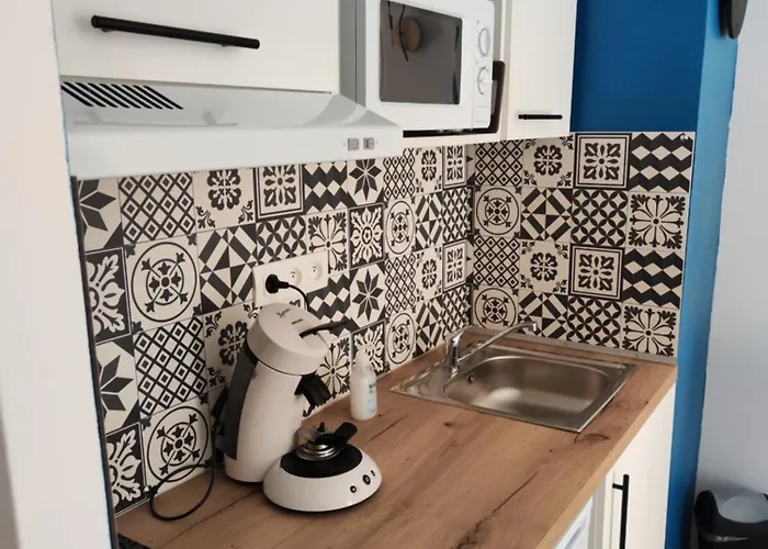 Lejlighed Plein Centre 4 Personnes Cauterets