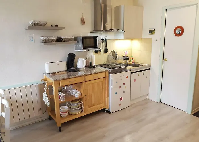 Lejlighed Plein Centre 4 Personnes *