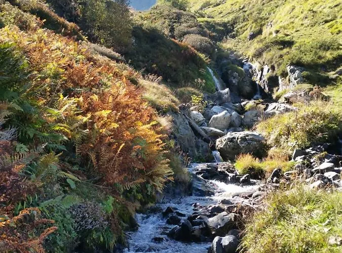Plein Centre 4 Personnes Lejlighed Cauterets