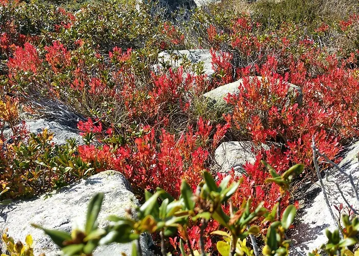 Lejlighed Plein Centre 4 Personnes *