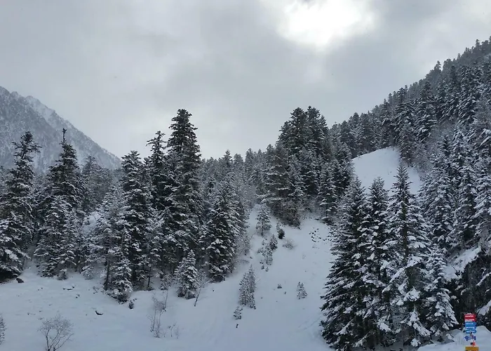 Plein Centre 4 Personnes Lejlighed *