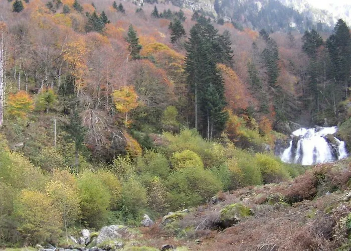 Plein Centre 4 Personnes